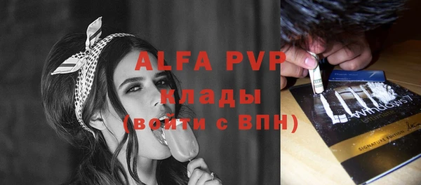 a pvp Белокуриха
