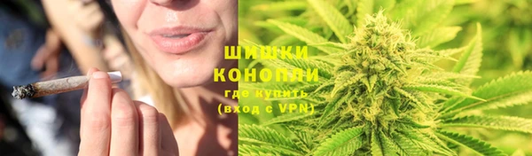 a pvp Белокуриха